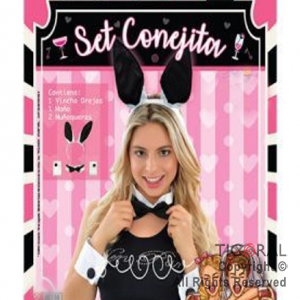 SET CONEJITA VINCHA MO�O Y MU�EQUERAS X 1